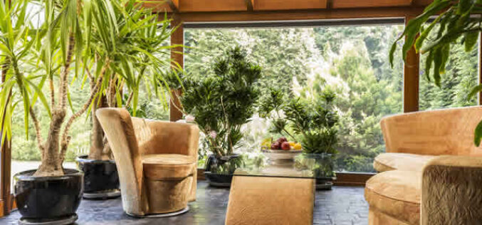 Sunroom Design Trends for Your Dream Home Addition