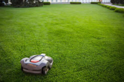 Do Robotic Lawn Mowers Really Work?