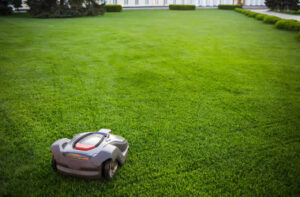 Do Robotic Lawn Mowers Really Work?