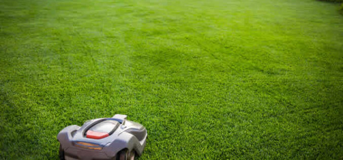 Do Robotic Lawn Mowers Really Work?