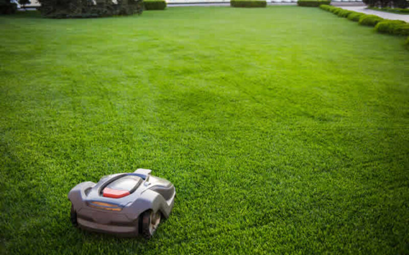 Do Robotic Lawn Mowers Really Work?