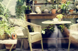 Designing a Tranquil Courtyard Garden in Inner-City