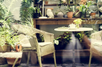 Designing a Tranquil Courtyard Garden in Inner-City