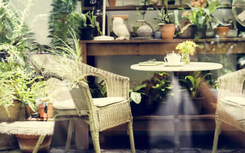 Designing a Tranquil Courtyard Garden in Inner-City