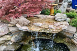 Why You Should Have a Water Feature in Your Backyard