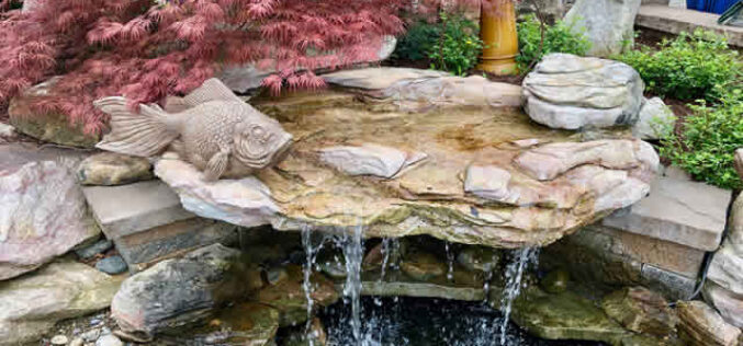 Why You Should Have a Water Feature in Your Backyard
