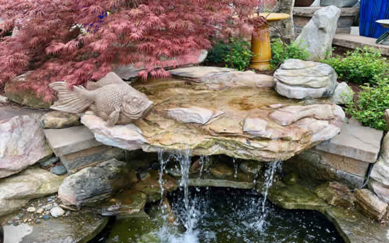 Why You Should Have a Water Feature in Your Backyard