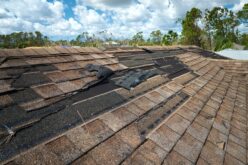 5 Signs Your Roof Needs Immediate Attention