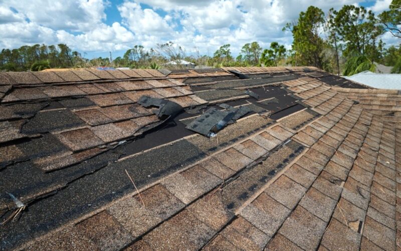 5 Signs Your Roof Needs Immediate Attention