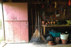 How to Organize Your Garden Shed and Enhance Shed Security