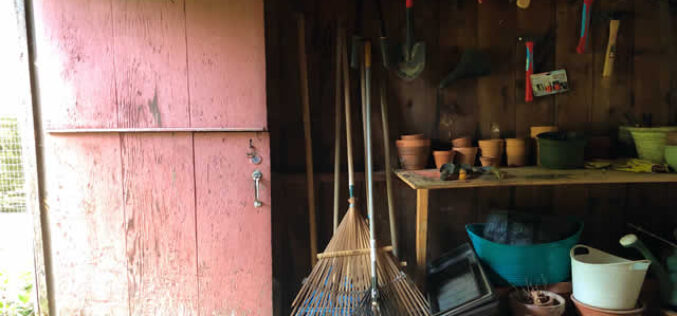 How to Organize Your Garden Shed and Enhance Shed Security