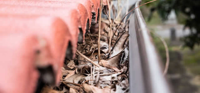 5 Costs Gutter Protection Saves You From
