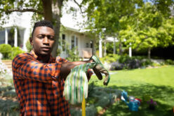 A Smart Strategy for Improving Your Front Yard