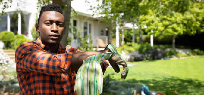 A Smart Strategy for Improving Your Front Yard