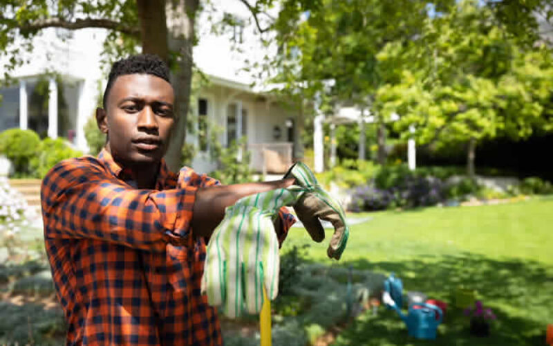 A Smart Strategy for Improving Your Front Yard