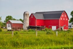 5 Tips for Improving the Workflow on Your Farm