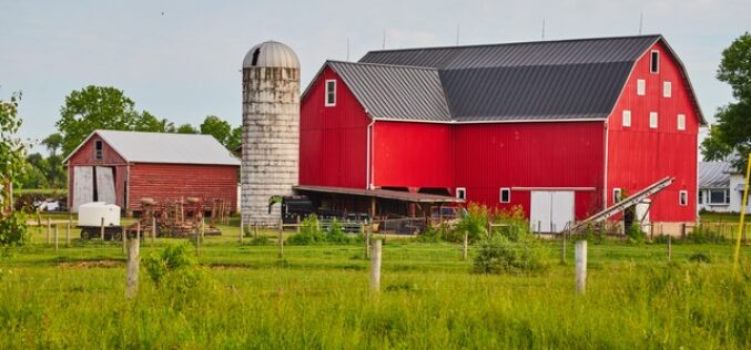 5 Tips for Improving the Workflow on Your Farm