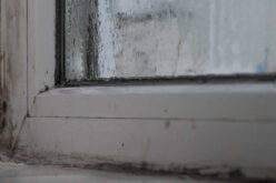 How to Repair Water Damaged Trim: A Complete DIY Guide