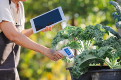 7 Modern Tools Every Gardener Needs in Their Backyard