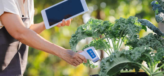 7 Modern Tools Every Gardener Needs in Their Backyard