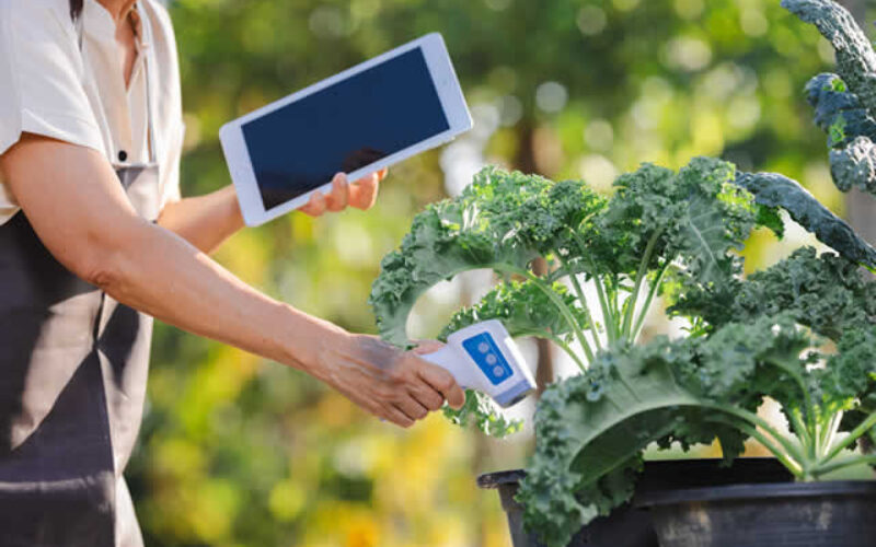 7 Modern Tools Every Gardener Needs in Their Backyard