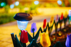 Illuminate and Elevate Your Outdoor Space with Solar-Powered Garden Ideas