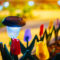 Illuminate and Elevate Your Outdoor Space with Solar-Powered Garden Ideas