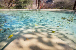 A Guide to Winterize Your Swimming Pool