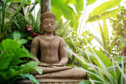 Zen Zone: Crafting a Peaceful Meditation Garden in Your Backyard