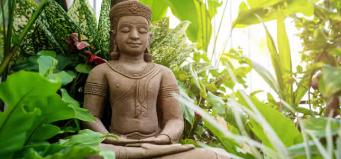 Zen Zone: Crafting a Peaceful Meditation Garden in Your Backyard