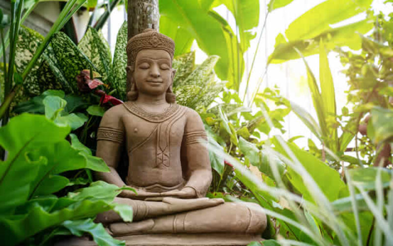 Zen Zone: Crafting a Peaceful Meditation Garden in Your Backyard