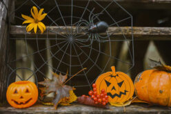 Spooktacular Halloween Decor: Transform Your Home This October