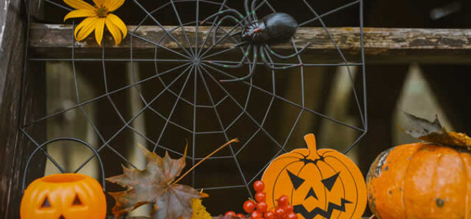 Spooktacular Halloween Decor: Transform Your Home This October