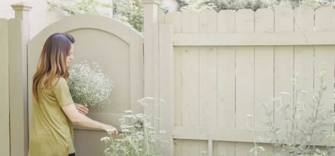 Top Fence Types That Thrive in Florida’s Climate