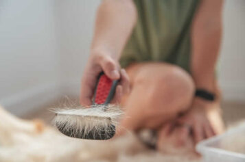 How to Best Manage Pet Hair to Preserve a Hypoallergenic Home