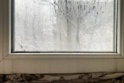 Why You Should Watch for Mold During Winter Months