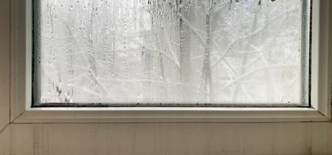 Why You Should Watch for Mold During Winter Months