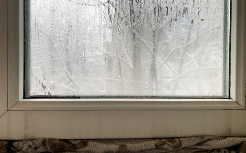 Why You Should Watch for Mold During Winter Months