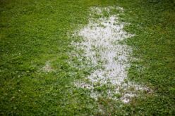 Problems That Arise With an Improperly Graded Property