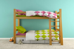 Why Choose Bunk Beds for Your Children?