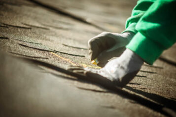 Roof Safety 101: When It’s Time to Replace Your Old Roof