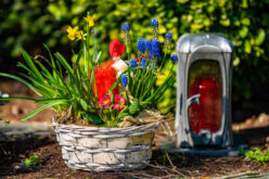 Your Complete Guide to Yard and Garden Décor