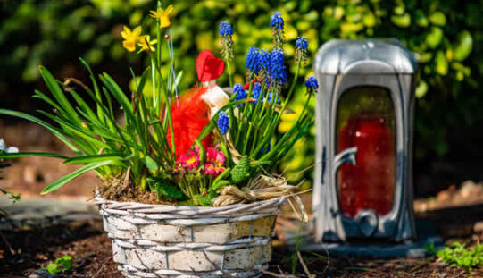 Your Complete Guide to Yard and Garden Décor