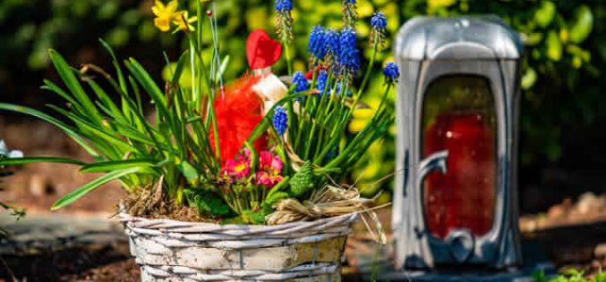 Your Complete Guide to Yard and Garden Décor