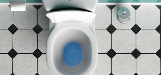 Stop The Drop: How To Find And Fix A Leaking Toilet Bowl
