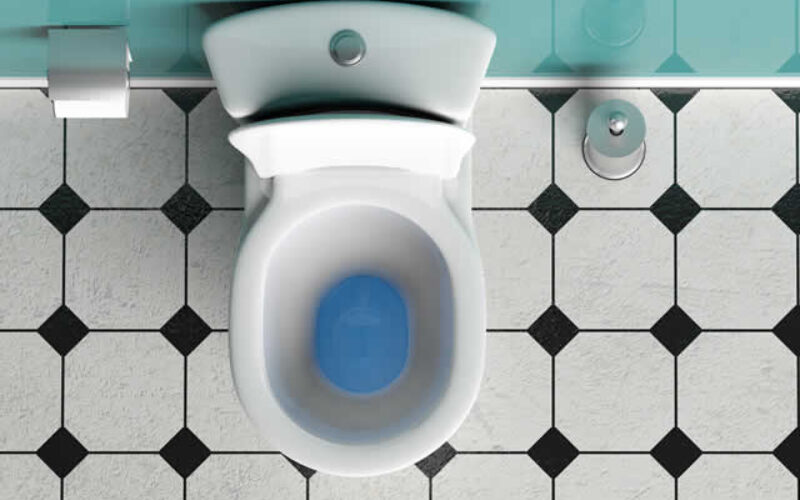Stop The Drop: How To Find And Fix A Leaking Toilet Bowl