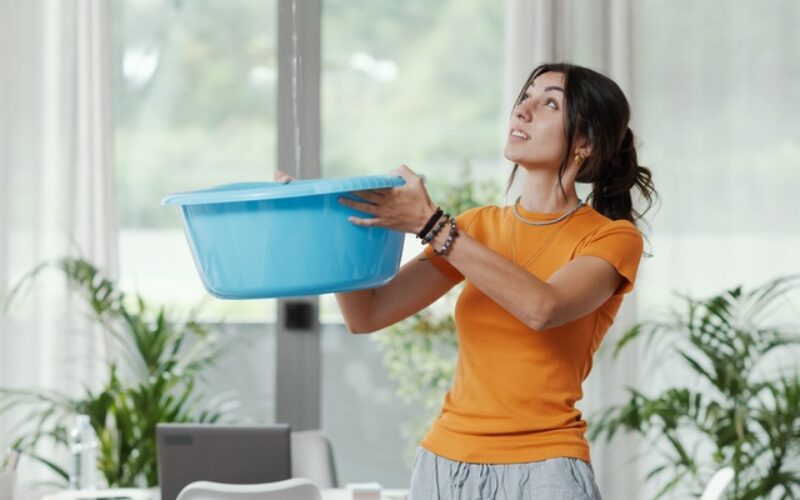 Why You Should Never Ignore Water Damage in Your Home