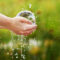 Drowning in Bills? How to Find Your Home’s Biggest Water Wasters