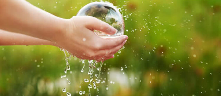 Drowning in Bills? How to Find Your Home’s Biggest Water Wasters