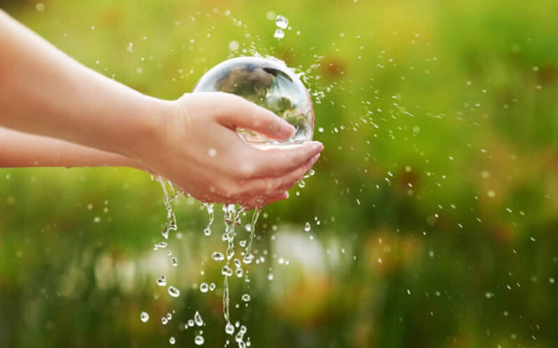 Drowning in Bills? How to Find Your Home’s Biggest Water Wasters
